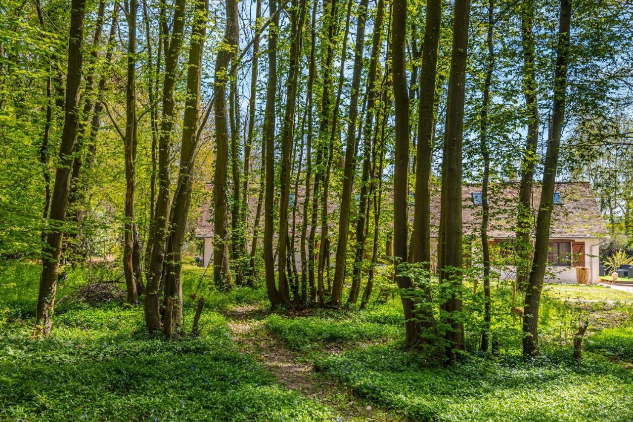 Gites Du Bois Des Perruches Saint-Vincent-des-Bois Exteriör bild