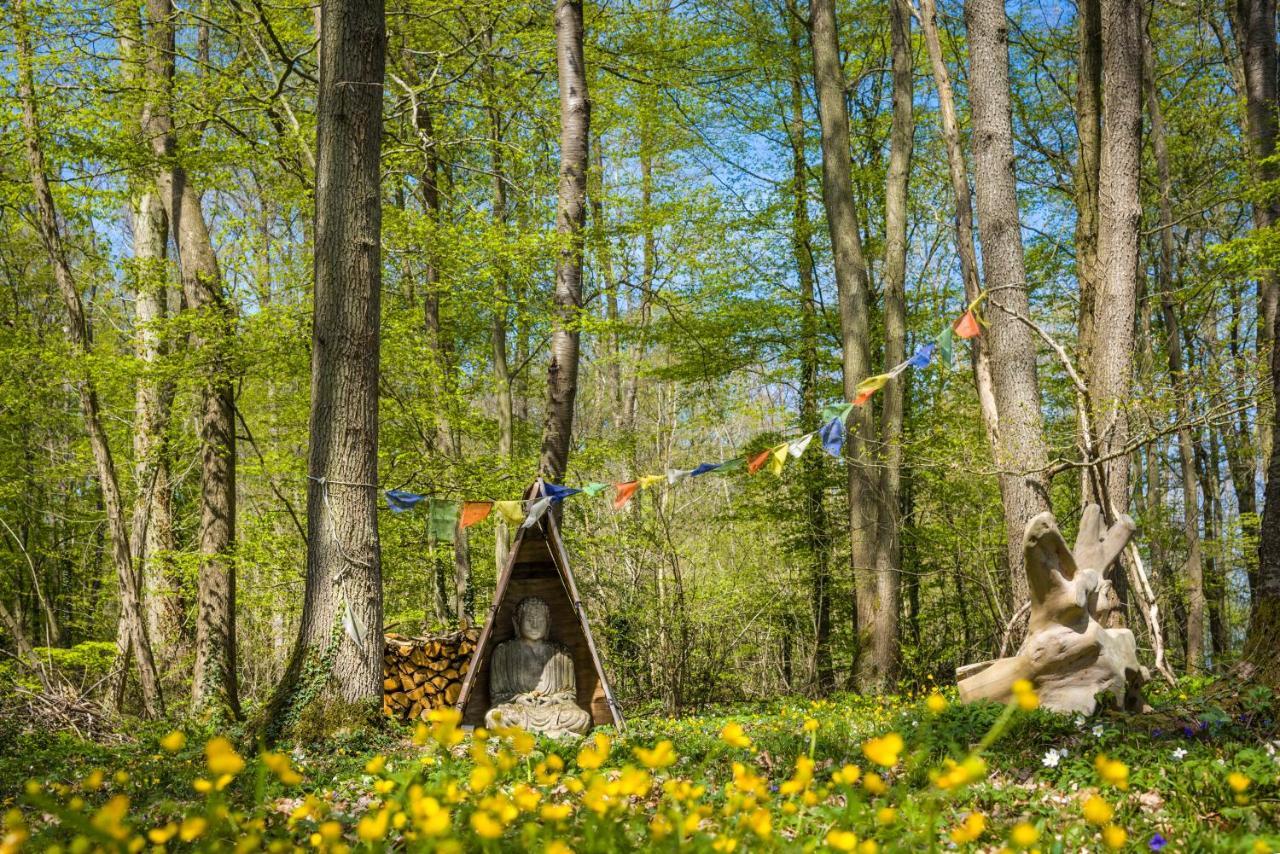 Gites Du Bois Des Perruches Saint-Vincent-des-Bois Exteriör bild