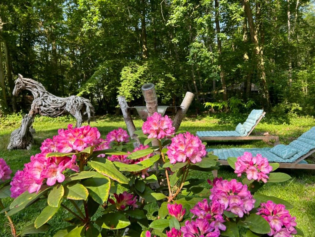 Gites Du Bois Des Perruches Saint-Vincent-des-Bois Exteriör bild