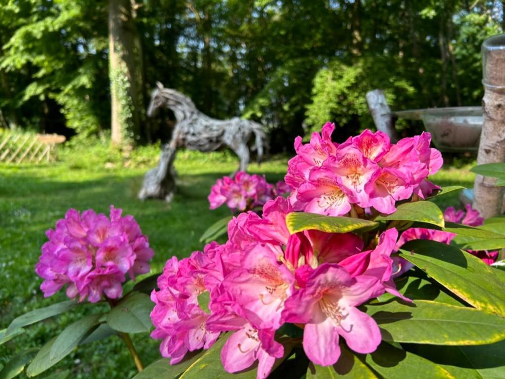 Gites Du Bois Des Perruches Saint-Vincent-des-Bois Exteriör bild