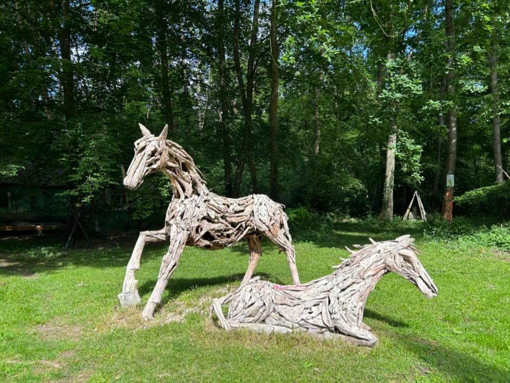 Gites Du Bois Des Perruches Saint-Vincent-des-Bois Exteriör bild