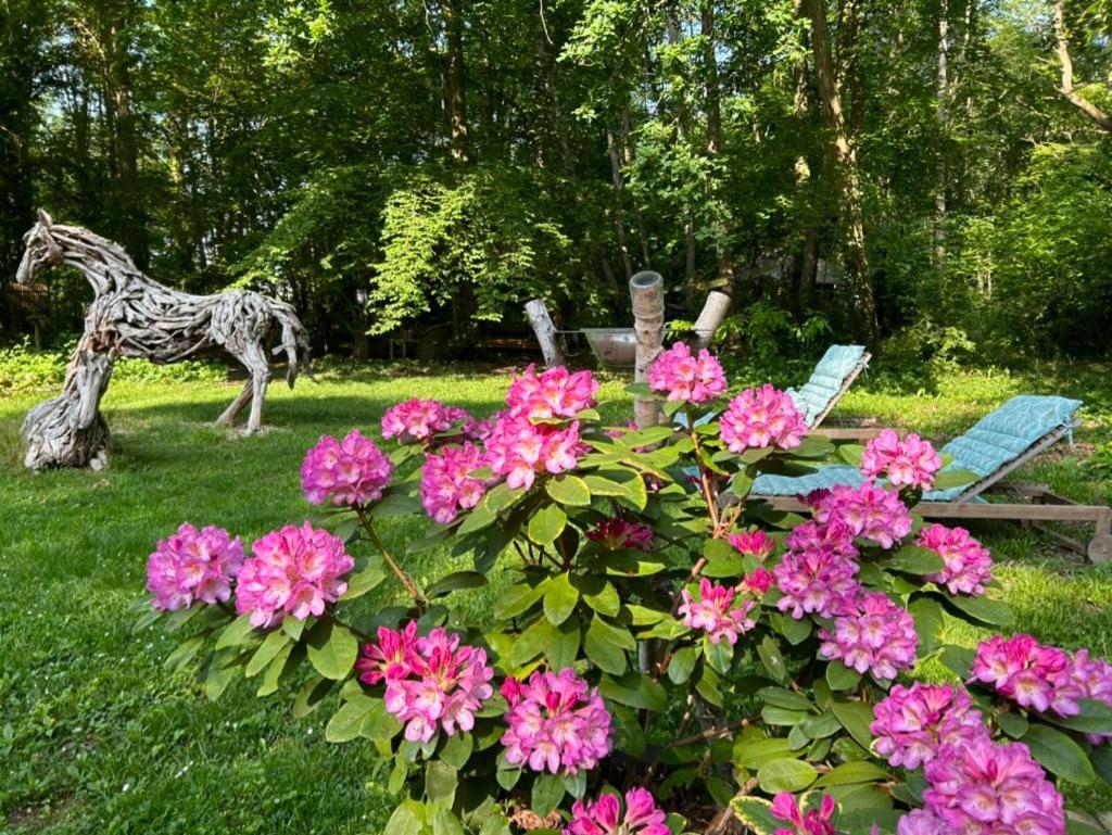 Gites Du Bois Des Perruches Saint-Vincent-des-Bois Exteriör bild