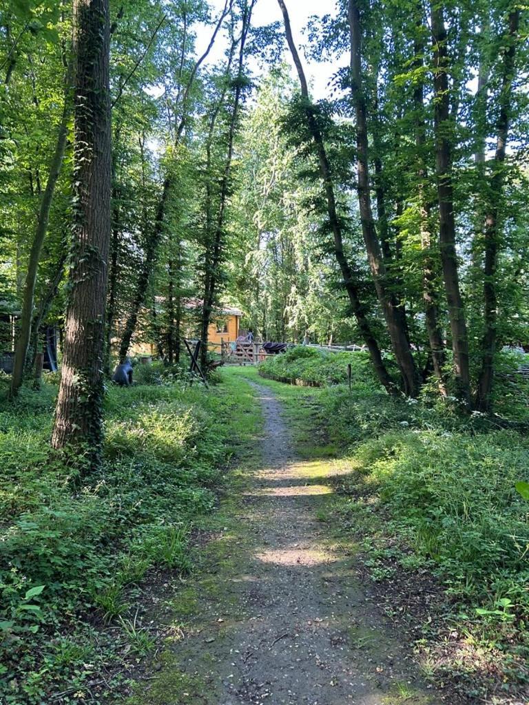 Gites Du Bois Des Perruches Saint-Vincent-des-Bois Exteriör bild